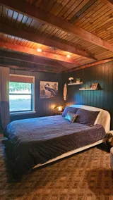 Lakeview Cabin in the Woods- movie projector - Image 4