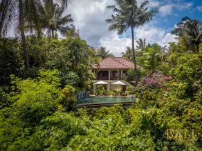 Treasure of Bali, 3BR villa, infinity pool, staff - Image 4