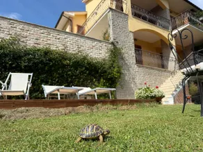 Virgi House - Image 5