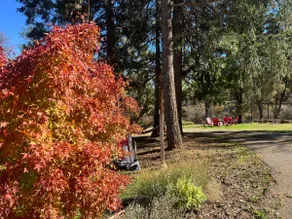 Hammocks & Hot Tub, 22 Miles to Yosemite - Image 4