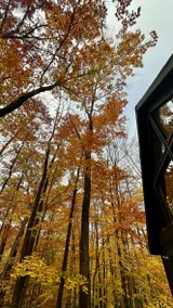 Secluded Cabin • Fire Pit • Lake Access • Sleeps 6 - Image 3