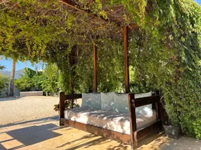 Tropical Oasis in Downtown – 5 min walk to the Pier - Image 4