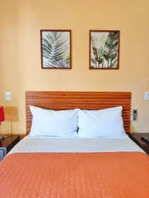 1 Studio Perfect to visit Los Cabos (3) - Image 4