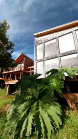 Rest and forest in Alma Terao, Chiloé - Image 2