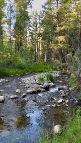 The Cottage - 10 Acres of Relaxation - Image 3