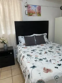 Small apartment Rio Bravo 2 - Image 5