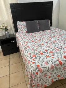 Small apartment Rio Bravo 2 - Image 3
