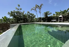 Casa Pedro - Image 3