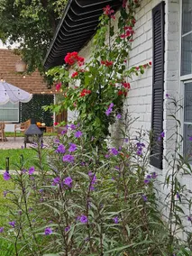 GUeST HOuSe - Image 5