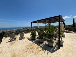 The Lemon Tree House - Image 4