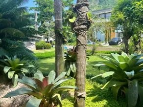 Mansion in Condominium in front of the Beach (Maramar) - Image 4