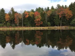 Cozy Perry Pond Authentic Log Cabin Retreat - Image 5
