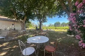 Gîte de la Cave Charme provençal avec jardin à Aigues-Mortes - Image 5