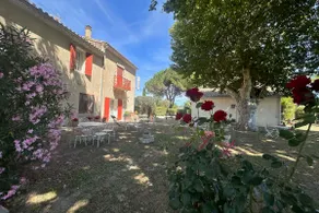Gîte de la Cave Charme provençal avec jardin à Aigues-Mortes - Image 3