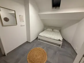 Disneyland Paris / Parrot World /appartement 6/8p - Image 4