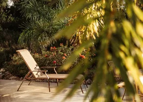 Comfort Pyramid – A Tropical Dream in SW-Florida - Image 5