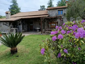 Quinta Vale da Ginjeira - Image 4