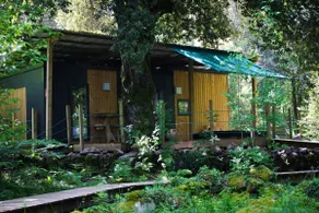 Luxury CHALET in LECCIA - Image 5