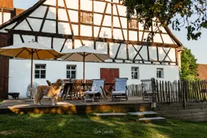 Detached vacation home with large garden, sauna and fireplace - Image 2