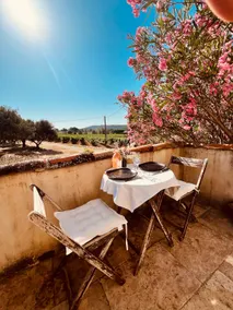 Riganel country cottage at the foot of the Luberon - Image 3