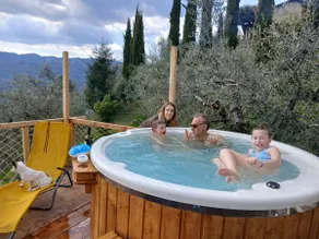 The house among the olive trees, entire cabin, pool & love - Image 5
