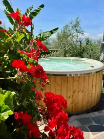The house among the olive trees, entire cabin, pool & love - Image 4