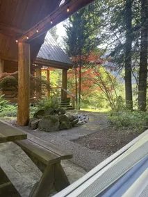 Mt. Rainier Log Cabin - Image 3