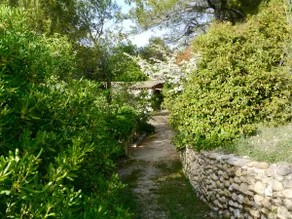 Sous l'Olivier - Image 4