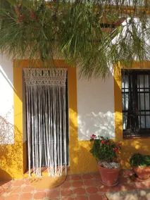 Near Seville, the calm of an orange grove - Image 2