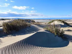 Riumar, dune beach, natural park and fishing - Image 3