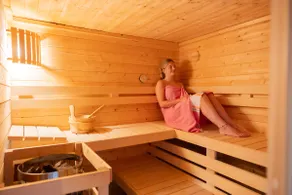 the Frisian forests with a wonderful wellness - Image 2