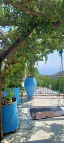 Aegean balcony - Image 3