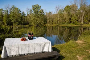 Dixie’s Cottage @ Muletown Farm | Pond | Horse - Image 3