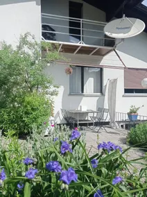 Bright house in the greenery - Image 2