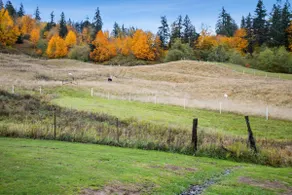 1910 Vintage Ranch House with beautiful views - Image 3
