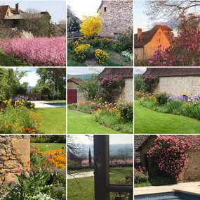Dordogne Valley: Charming cottage for two. - Image 5