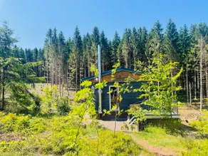 Vacation home “Gina” on the edge of the forest - Image 2
