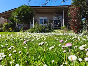 Villa Gomfoi Trikala - Smart Town BnB - Image 4