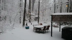 Relax & Unwind in a Nature Lover's Retreat! - Image 3