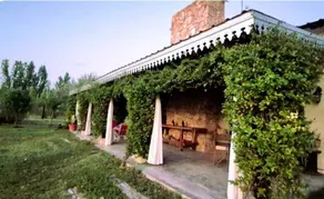 El Madejo - del Valle de Uco - Image 2