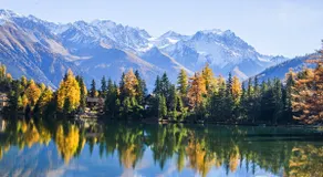 The luxury of tranquillity and autumnal colours - Image 4