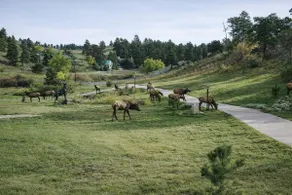 Luxury Log Cabin Retreat Near Red Rocks 6 acres - Image 3