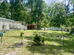 Escape to Nature-Ichetucknee springs 2miles - Image 3