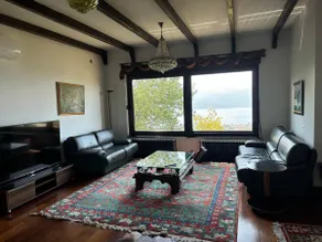 Sapanca Retro Modern Excellent Panaromic Lake View - Image 3