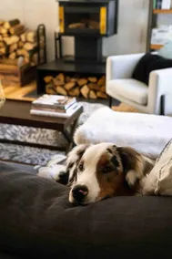 Cozy Scandinavian Chalet 7min from Ski Mont Orford - Image 5