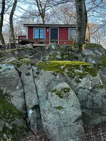 Happy Dogs Ranch-Cabin, Nature Retreat - Image 4