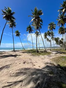 Apto Porto de Galinhas - Image 5