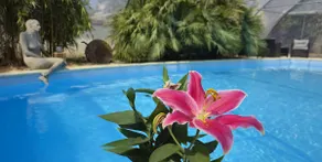 Art & Guest House - Image 2