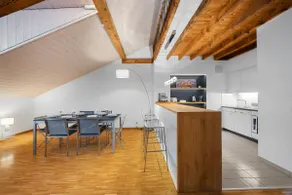 #01 Spacious & modern 4 and 1/2 loft-Geneva center - Image 4