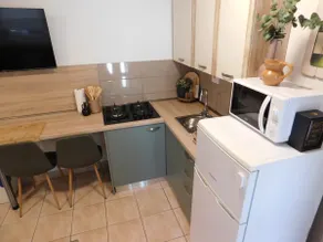 Deluxe apartment with outdoor oasis - Image 3